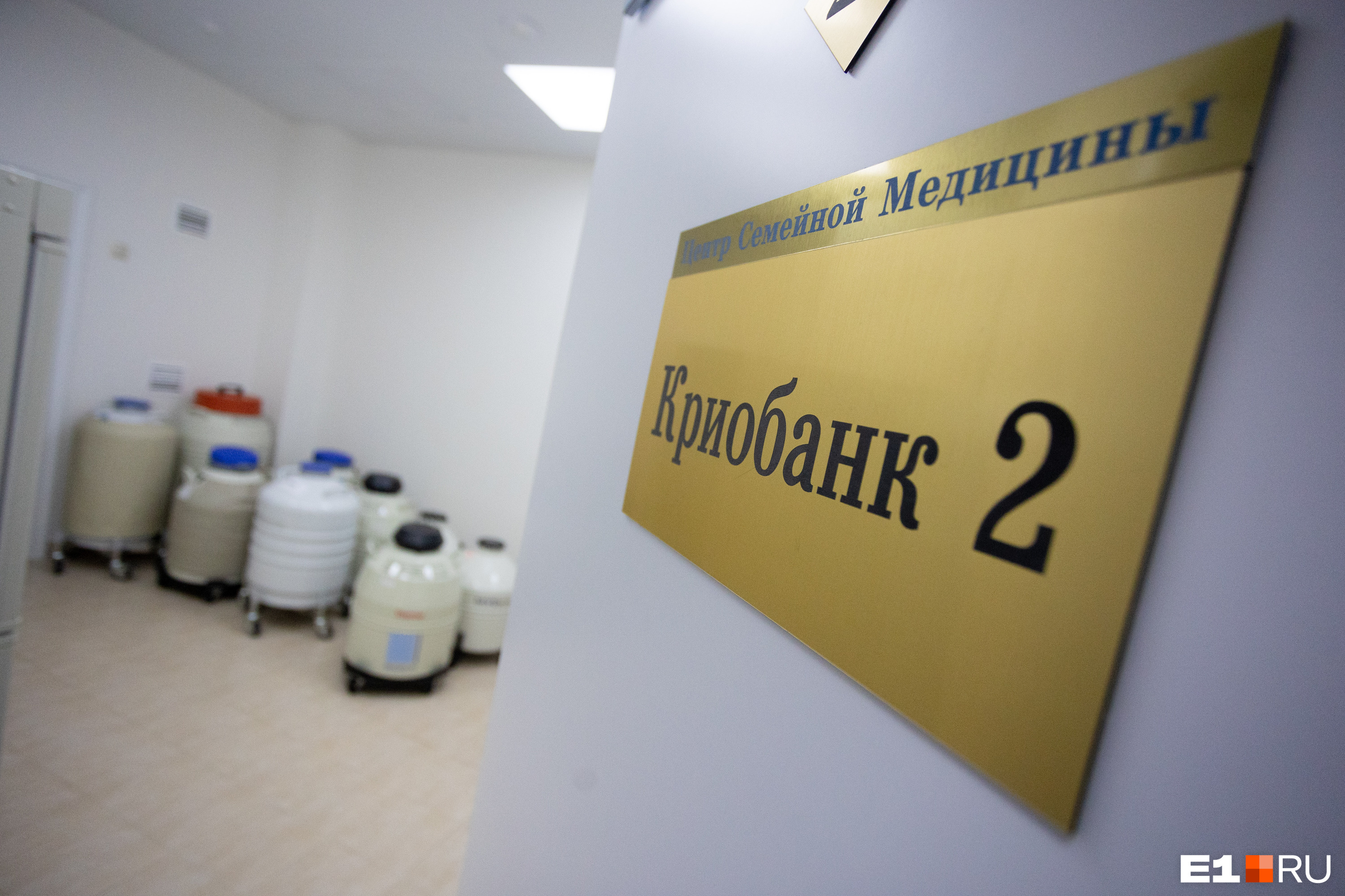Можно всех посмотреть? Кого жительницы Екатеринбурга выбирают в доноры спермы