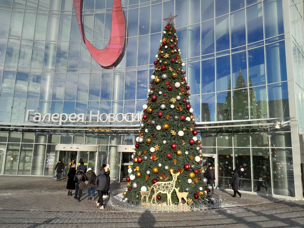Первая новогодняя елка появилась в Новосибирске — где ее поставили