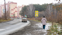 Новосибирец вызвал мэра на пешую прогулку по буеракам — посмотрите, где приходится ходить людям (есть и дыры в мосту)