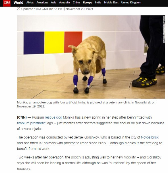 На сайте CNN отметили, что собака стала первой, которой Сергей Горшков установил сразу четыре протеза На сайте CNN отметили, что собака стала первой, которой Сергей Горшков установил сразу четыре протеза