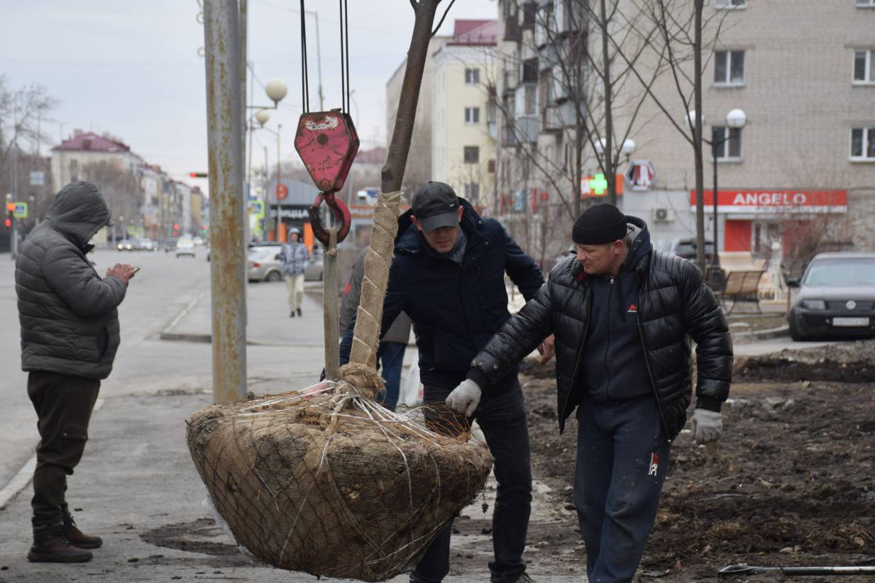 музей декабристов в кургане