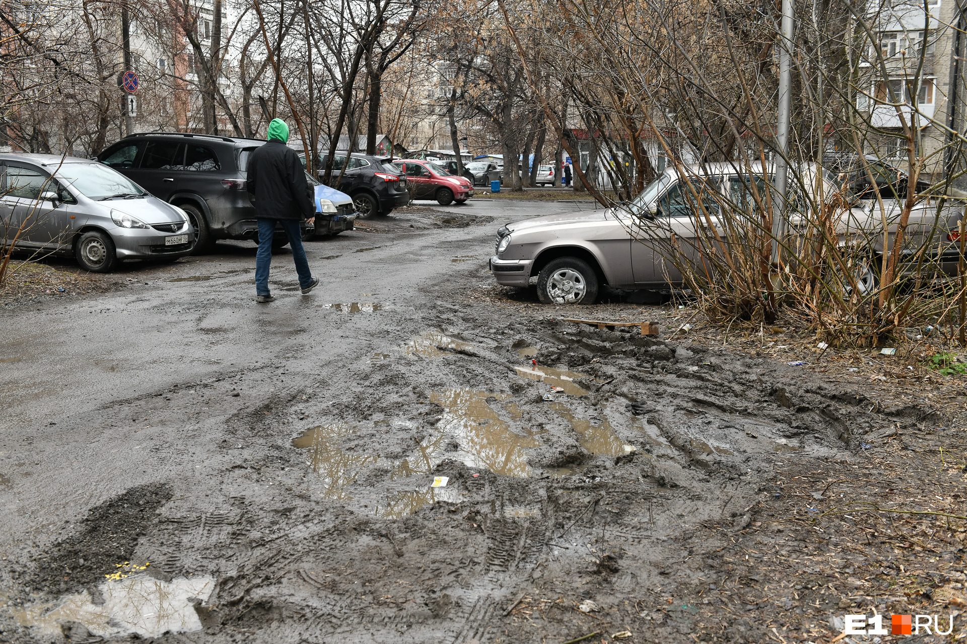 Секрет «черных газонов»: главная по благоустройству в мэрии объяснила, почему в Екатеринбурге не растет трава