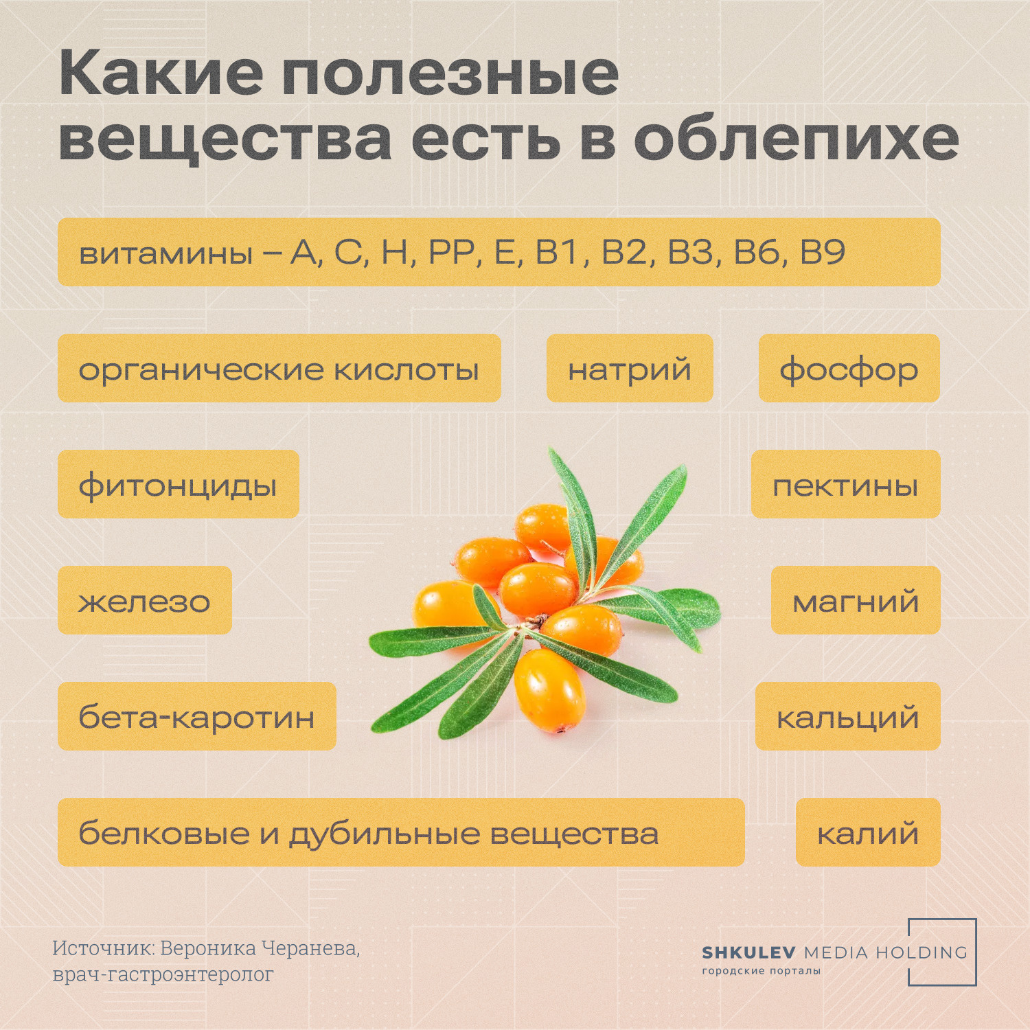Самые бесполезные овощи в саду и огороде - 28 мая 2022 - 74.ru