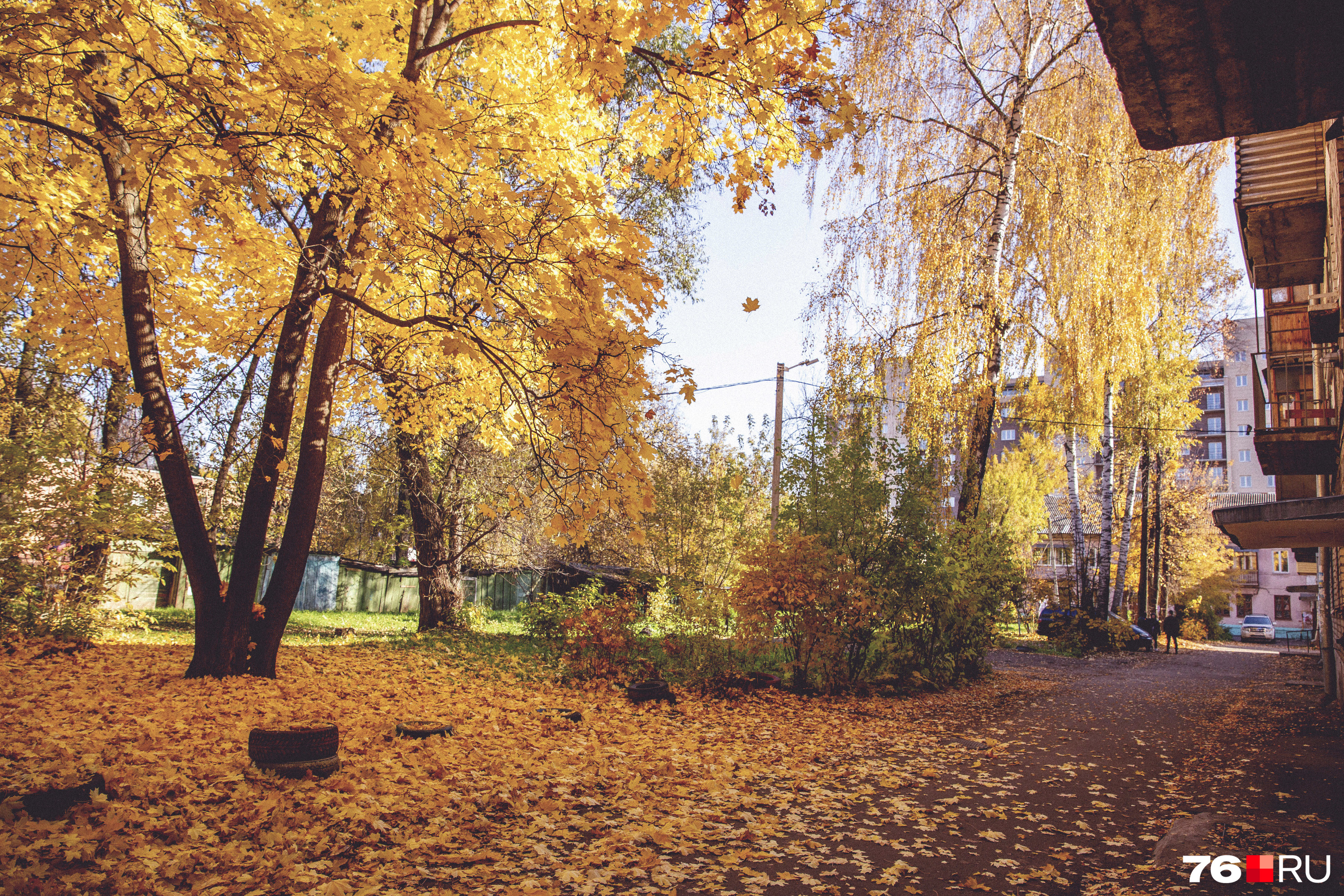 Загородный сад Ярославль зимние фото.