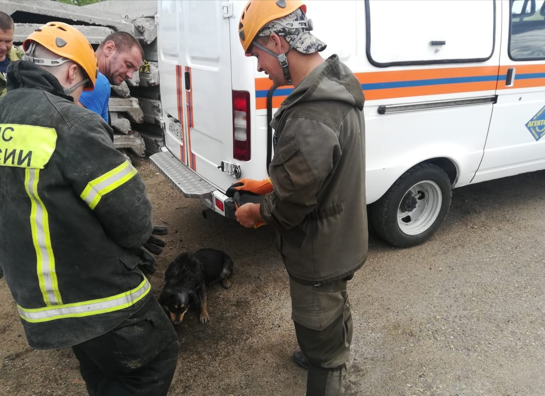 История спасения