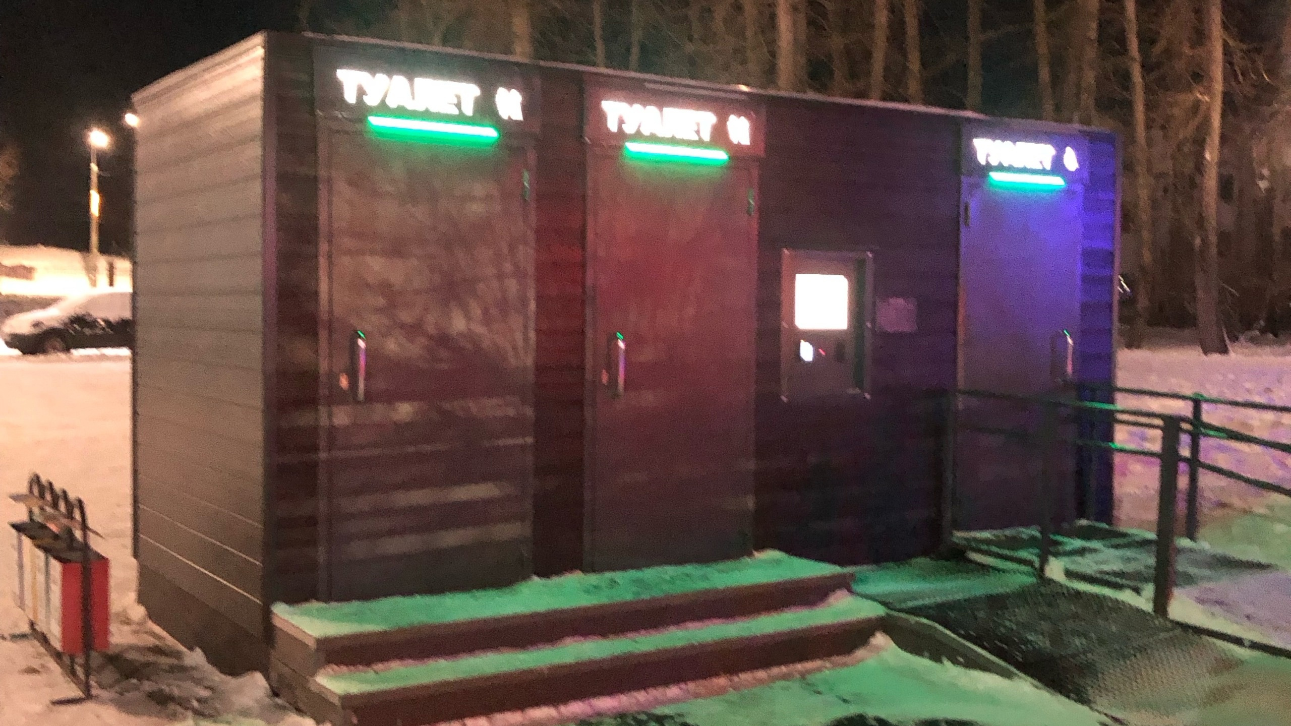 «Сколько в Архангельске неандертальцев»: директора театра возмутило, что горожане ломают туалет в парке