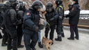 На несогласованной протестной акции в Новосибирске прошли задержания