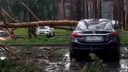 В парк-отеле «Еловое» во время урагана дерево упало на машину отдыхающего
