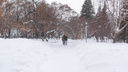В феврале Новосибирск засыплет снегом. Чего еще ждать от последнего месяца зимы — прогноз синоптиков