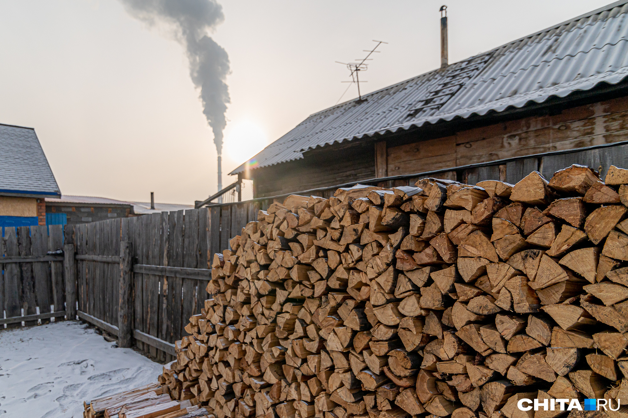 Жителям Забайкалья хотят упростить получение дров