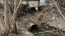 «Это ливневая канализация»: Росприроднадзор обнаружил сброс нечистот в реку под Волгоградом