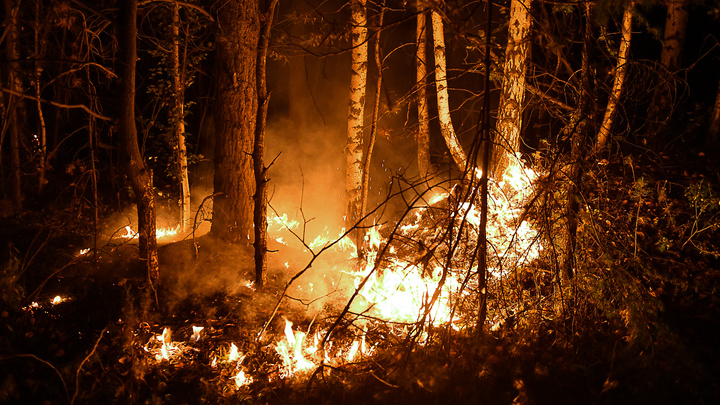 Россия в огне: почему не могут потушить лесные пожары, оставившие без жилья уже две тысячи человек