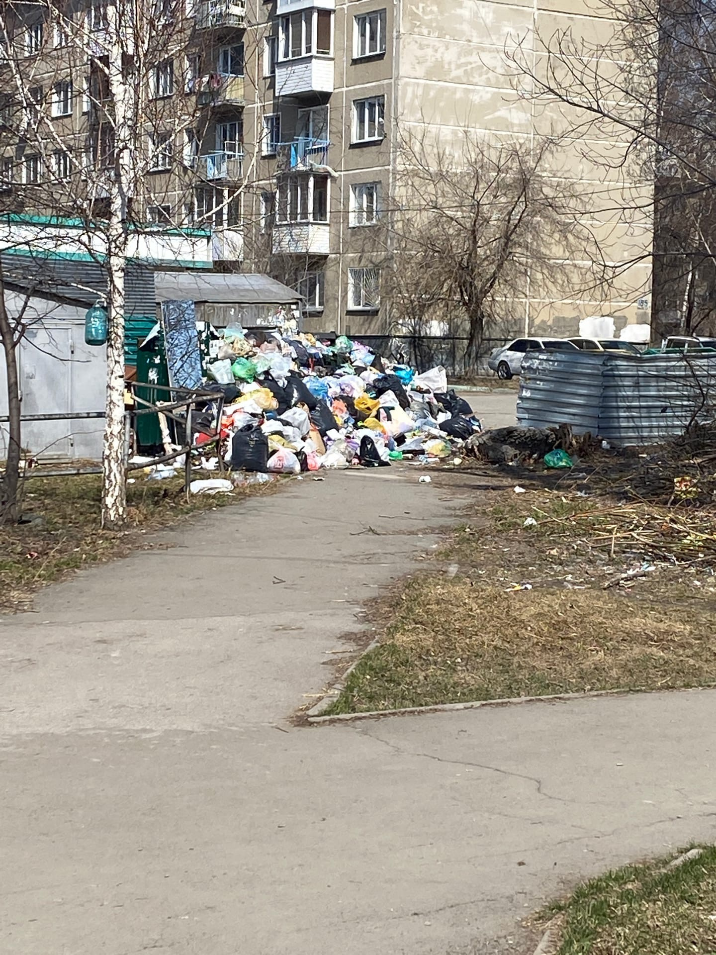 «Видимо, вывоз мусора касается только мусорок, которые ближе к дороге и которые видно. А которые глубоко во дворах — до них никто ни разу не доезжает», — жалуется еще одна читательница. Фото сделано на улице Грибоедова