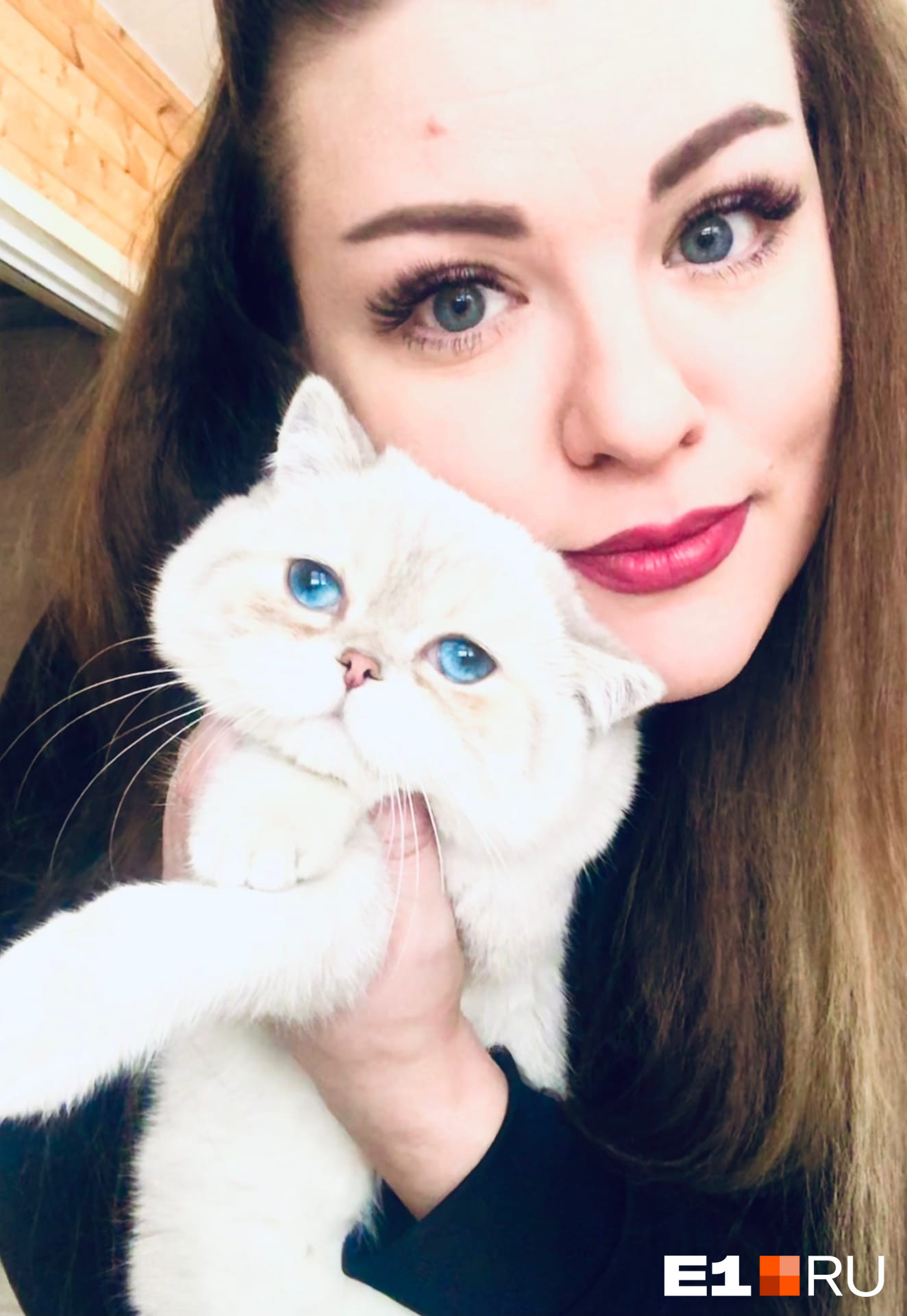 Семочка, которого взяли в память об ушедшем коте той же породы: девушка просто не могла приходить домой, когда ее в нем никто не встречал Семочка, которого взяли в память об ушедшем коте той же породы: девушка просто не могла приходить домой, когда ее в нем никто не встречал