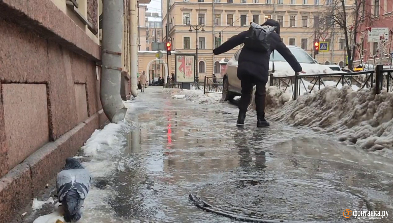 Дождь в Петербурге будет, но уже не ледяной. Перемен в погоде стоит ждать в выходные