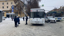 Подробности ДТП с автобусом в Новосибирске — перед столкновением легковая машина сбила пешехода