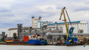 Для «Ростовского порта» выделили пять участков на левом берегу Дона