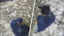 Ребенок упал на асфальт: в Сети появилось видео последствий драки детей