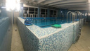 В новосибирской школе закрыли бассейн, в котором утонула второклассница