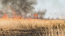 Пожар в Русском Колодце: поле сгорело под Таганрогом