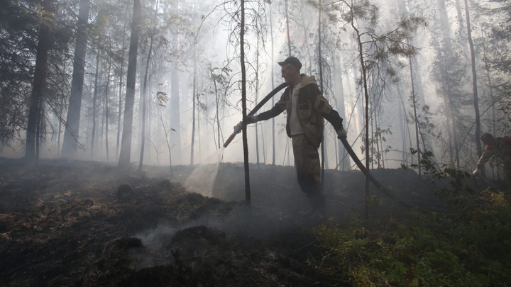 «Пожар возник по вине людей». Под Верхней Пышмой полыхают одиннадцать гектаров леса
