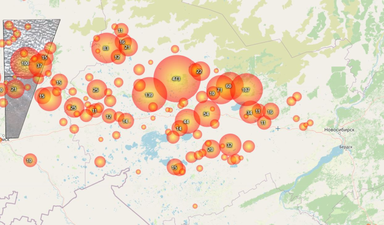 На карте пожаров Fires.ru видно, что возгорания зафиксированы в западной части Новосибирской области