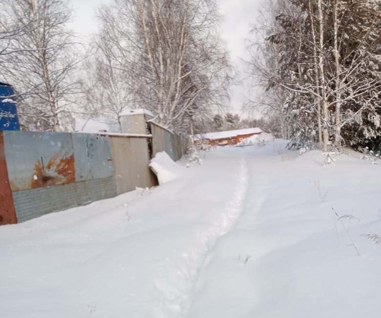 Зимой дороги в Лесном завалены снегом, весной на них появляются лужи Зимой дороги в Лесном завалены снегом, весной на них появляются лужи