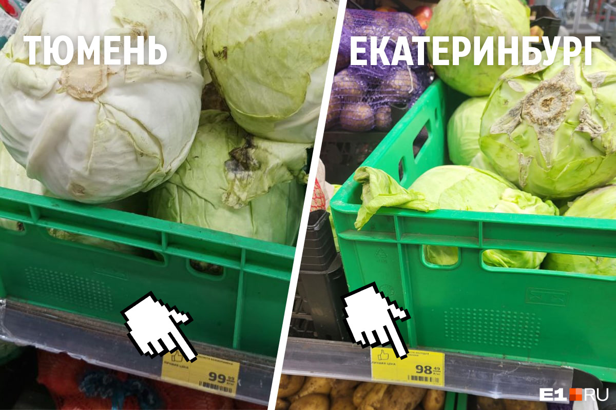А вот в «Магните» можно найти капусту дешевле сотни рублей за килограмм. Причем в Екатеринбурге она будет на рубль дешевле, чем в тюменских «Магнитах»