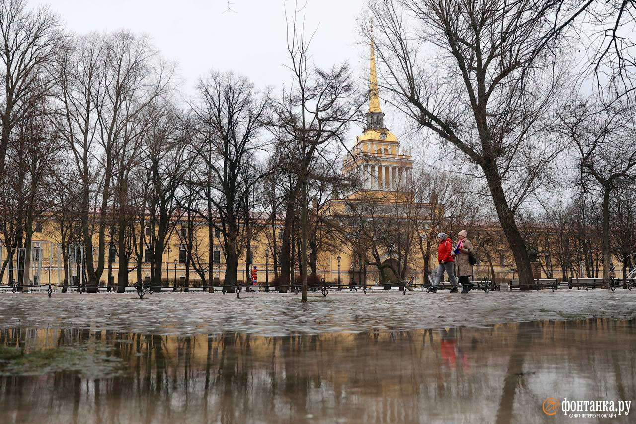 Оттепель в петербурге