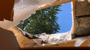 При сносе здания в центре Ростова случайно проломили крышу жилого дома