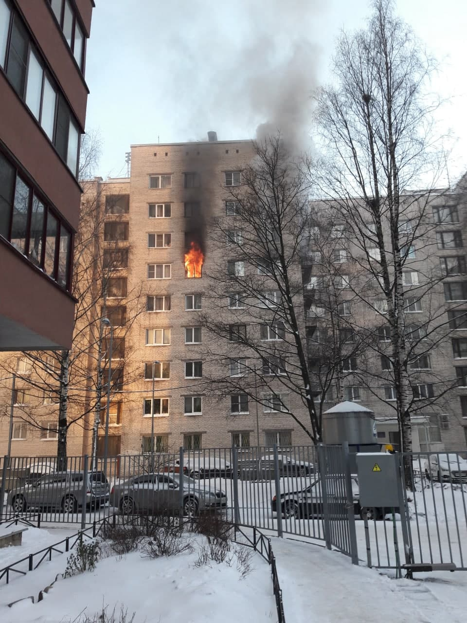 Спускались вместе с детьми и мяукающими кошками». На Брянцева горела  квартира в бывшем общежитии - 22 декабря 2021 - ФОНТАНКА.ру