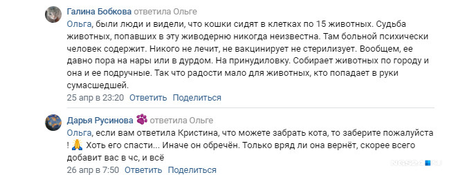 Вот такие комментарии писали пользователи «ВКонтакте» под постом о найденном Ольгой коте
