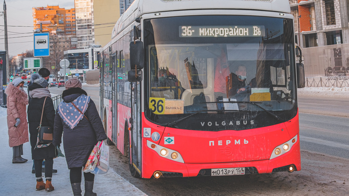 В Перми пассажиры общественного транспорта смогут жаловаться контролерам на перевозчиков