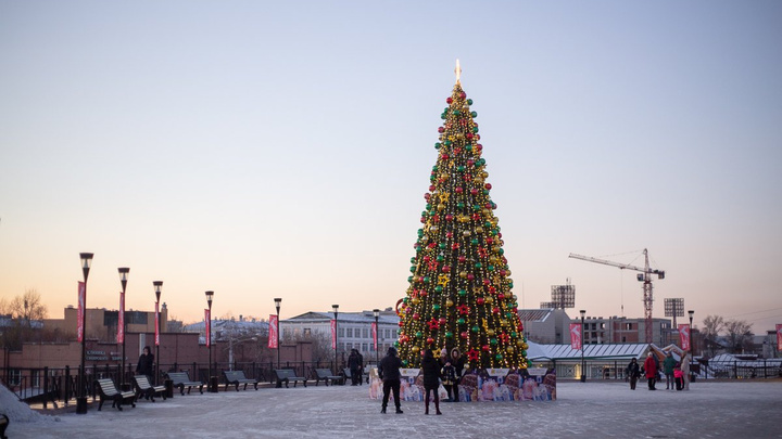 Новогодние конусы: Рассматриваем ёлки в разных районах Иркутска