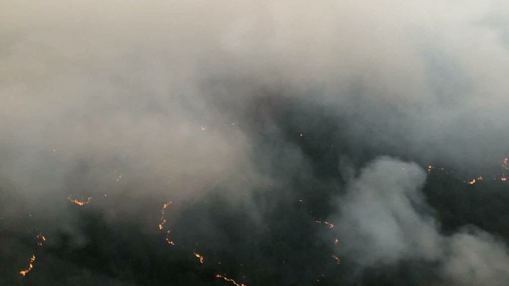 Иркутская область 8-е сутки лидирует по площади лесных пожаров среди регионов России