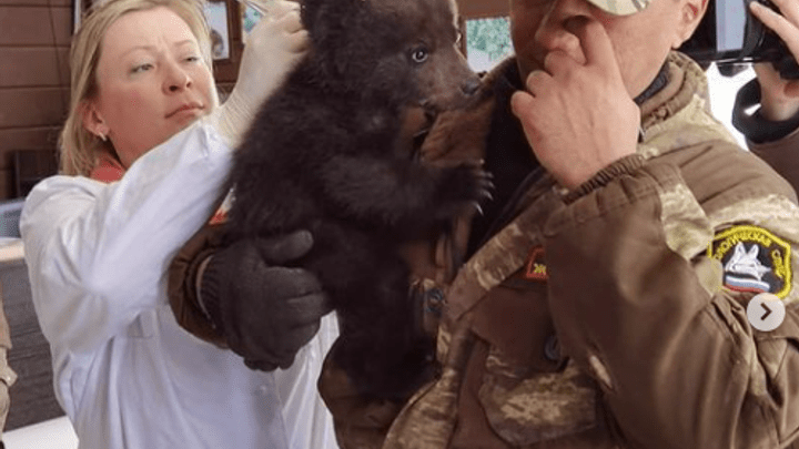 Истощённого двухмесячного медвежонка привезли в иркутский питомник «К-9»