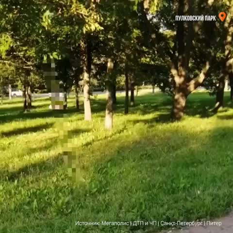 Секс в парка Секс видео / адвокаты-калуга.рф ru