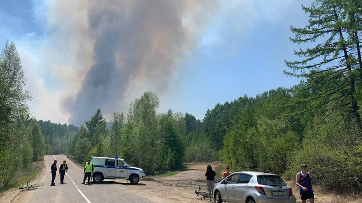 Виновникам лесного пожара на 400 га на Молоковке грозит штраф от 200 до 400 тыс. руб.