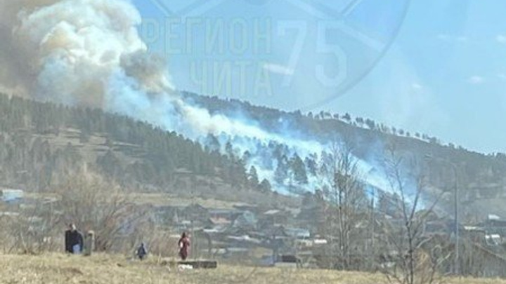 Правительство РФ выделило Забайкалью 243 млн р. на тушение лесных пожаров