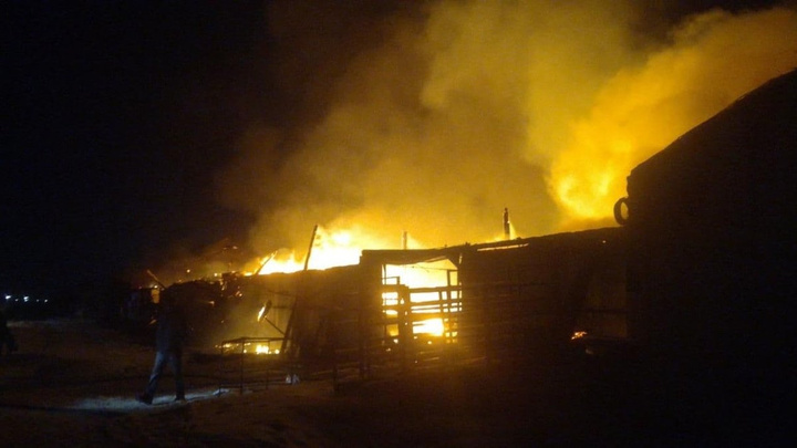 Мельница и склад с мукой сгорели в Тулуне