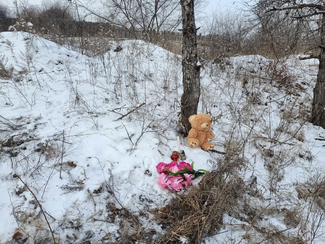 В чите убили девушку. В Забайкалье девочку загрызли собаки. Собаки растерзали ребенка. 7 Летнюю девочку загрызли собаки.