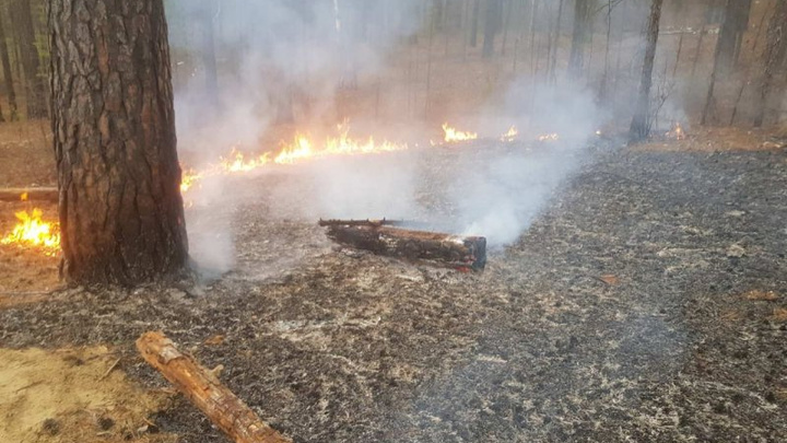 Полиция задержала подростков, которые устроили лесной пожар в Акшинском районе — видео