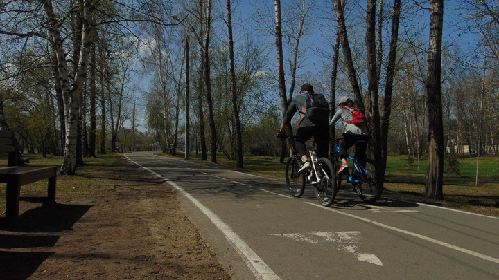 Велопешеходную дорожку длиной 2,7 км обустроят в Братске за 39,7 миллиона рублей
