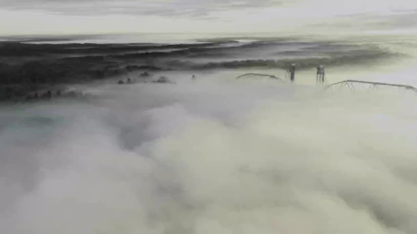 Там травою поднялся туман песня слушать. Петербург туман. Белая пелена. Белая пелена в воде. Очень плотный туман.