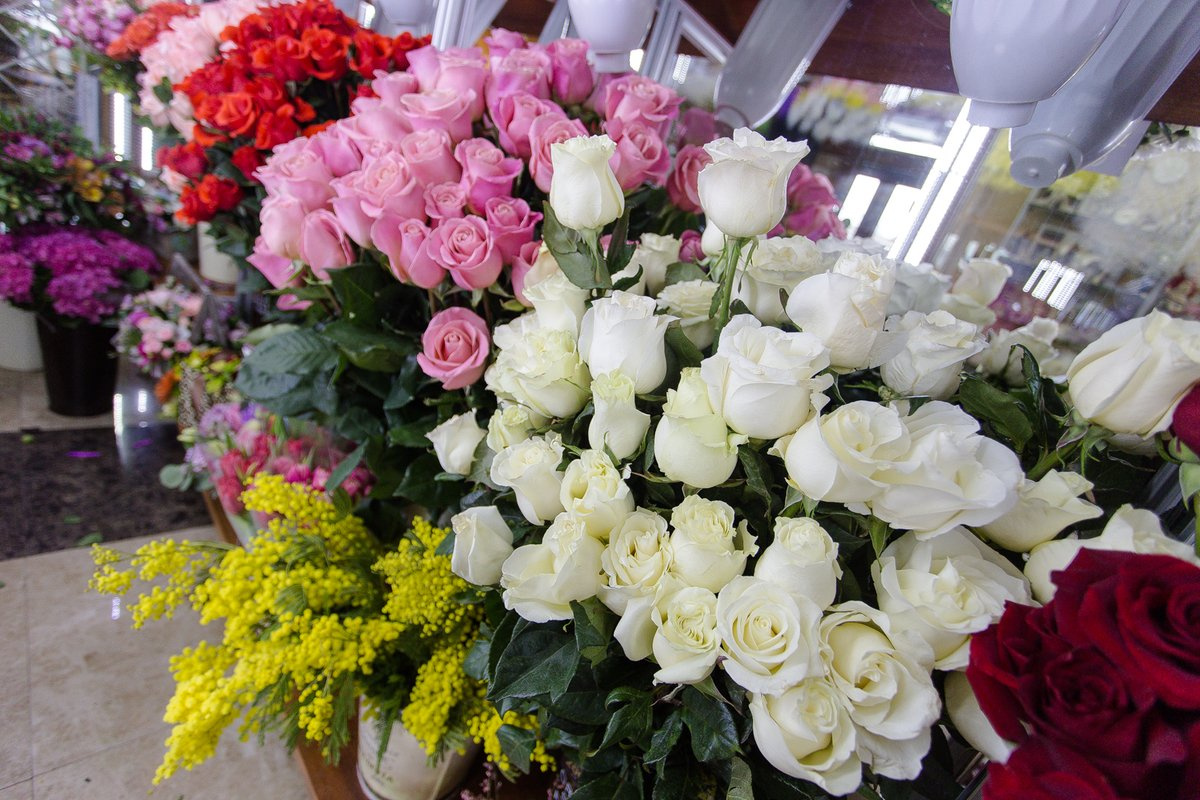 Розы в салоне «Оазис» в Чите. 