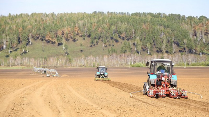 Более 2,5 млрд руб. направят на поддержку сельхозпроизводителей Приангарья в 2021 году