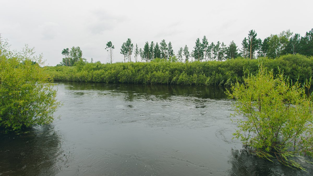 Пойму ру. Река без воды. Вода река. Пойма реки это. Речка Россия.