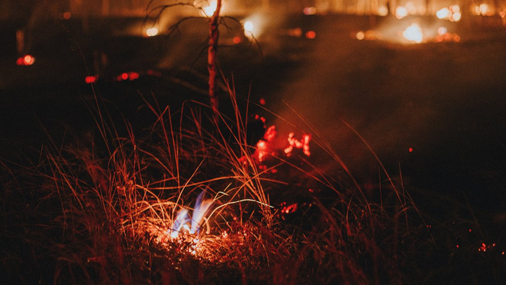 Жители Алек-Завода сообщили о пожаре возле деревни – МЧС не стало его тушить из-за болота