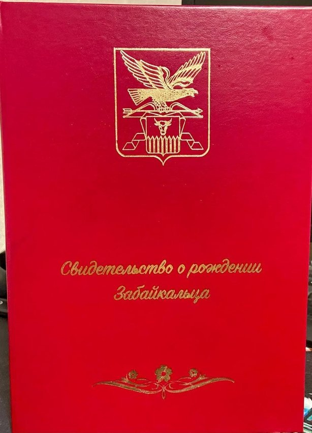 Корочка для свидетельства о рождении Корочка для свидетельства о рождении