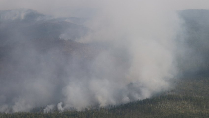 Пожарные тушат лесной пожар недалеко от села Алия в Балейском районе